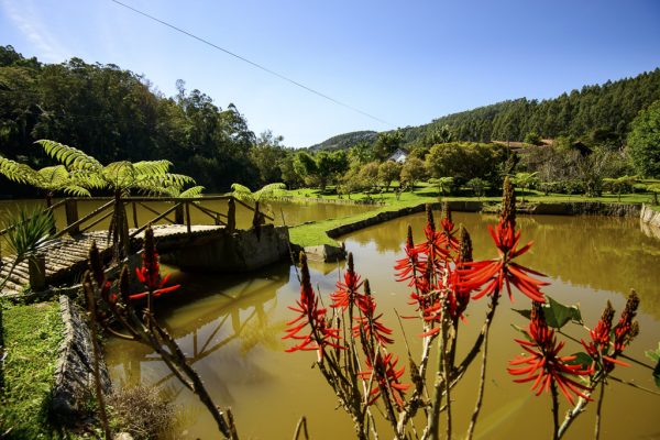 fazenda saude (17)