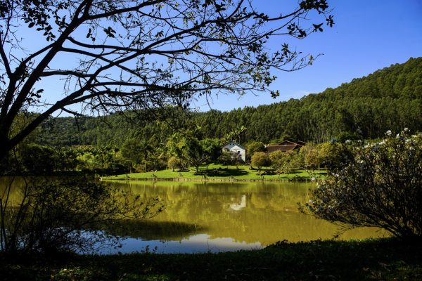 fazenda saude (19)