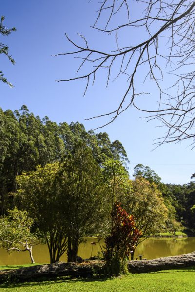 fazenda saude (3)