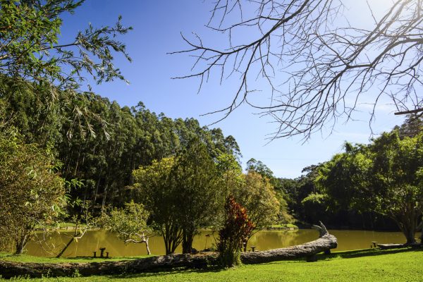 fazenda saude (3)