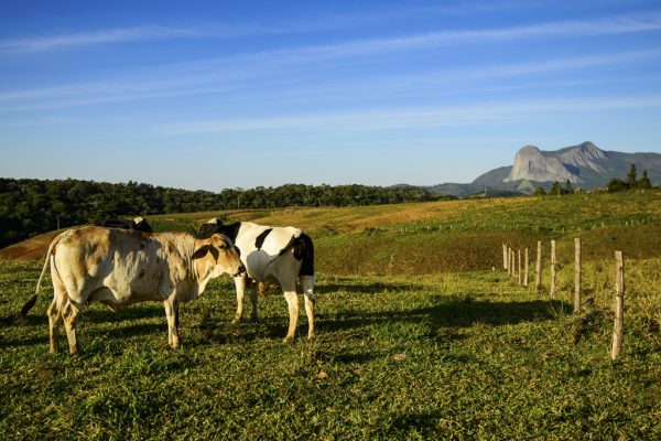 sabos das mont (2)